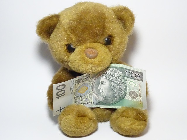 plyšový medvěd, bankovka